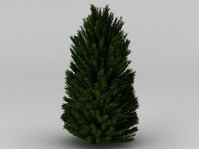 植物杉树模型3d模型