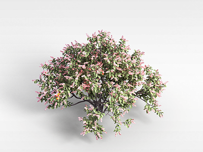 植物花树模型3d模型