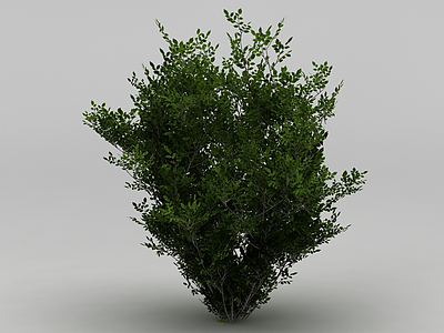 3d植物大树免费模型