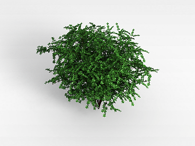 植物树木模型3d模型
