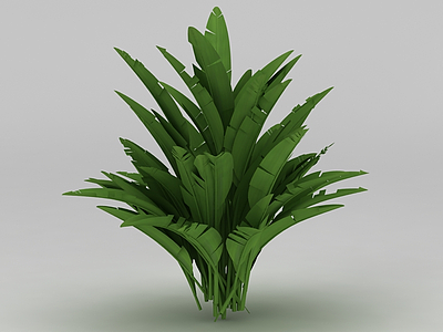 3d植物免费模型