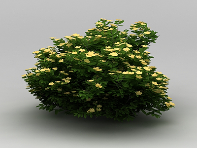 3d景观植物绿篱模型
