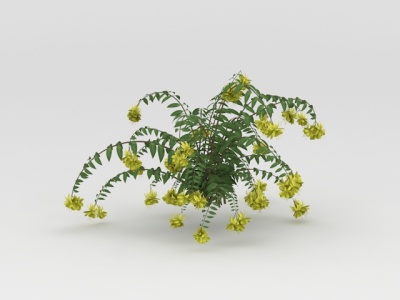 植物花草绿植模型3d模型
