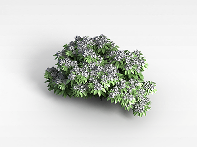花草树木植物模型3d模型
