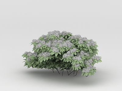 植物树木丛林模型3d模型