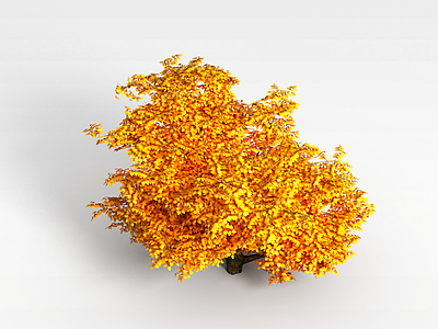 植物松树模型3d模型
