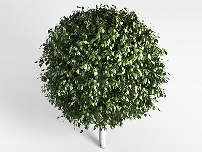 3d植物树木模型