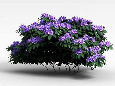 3d紫色花簇模型