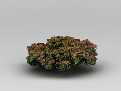 3d植物花草绿植模型