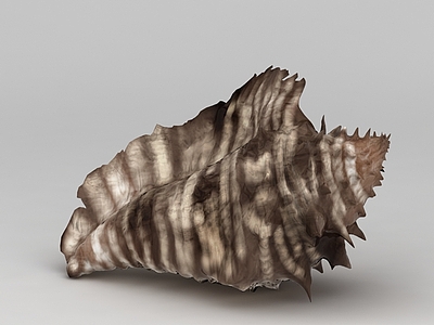 海螺饰品模型3d模型