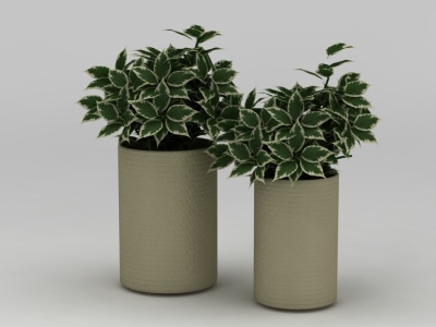 现代花草绿植模型3d模型