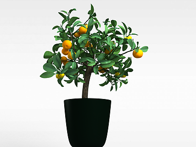 果树盆栽模型3d模型