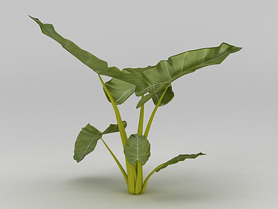 植物绿植模型3d模型