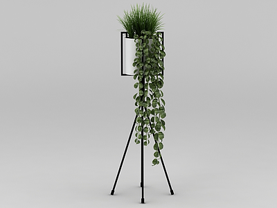 室内盆栽挂饰模型3d模型