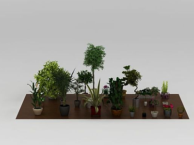 3d 花盆盆栽花草植物组合模型