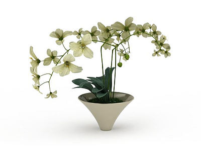 鲜花盆栽模型3d模型