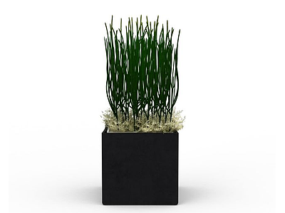 3d花草绿植盆栽模型