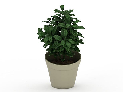 3d绿植盆栽模型