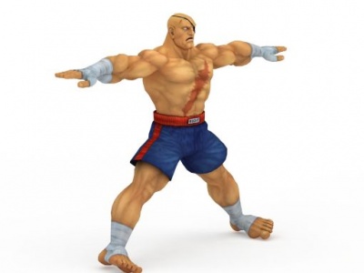 3d游戏人物拳皇《街霸4》模型模型