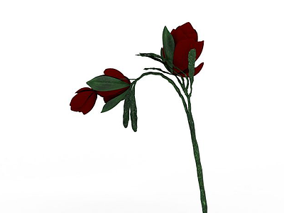 3d红玫瑰模型