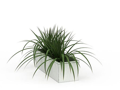 户外盆栽植物模型3d模型