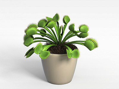 3d异形植物模型