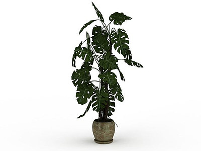 3d扇叶植物盆栽免费模型