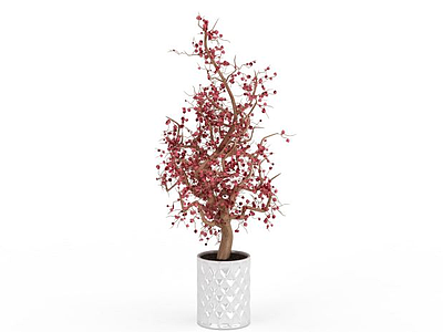 梅花盆栽模型3d模型
