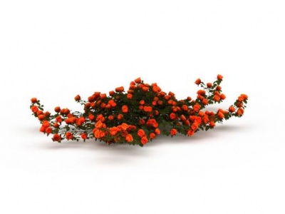装饰花朵模型3d模型