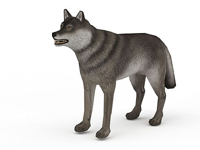 灰狼模型3d模型