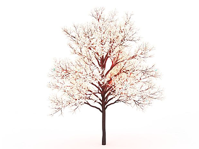 3d樱花树免费模型