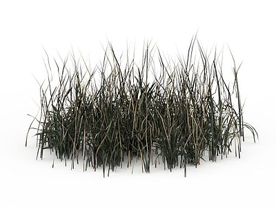 草丛模型3d模型