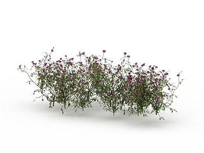 景观花草植被模型3d模型
