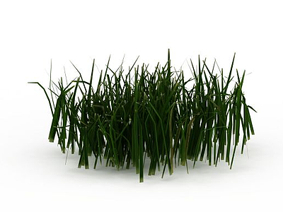 3d绿草模型