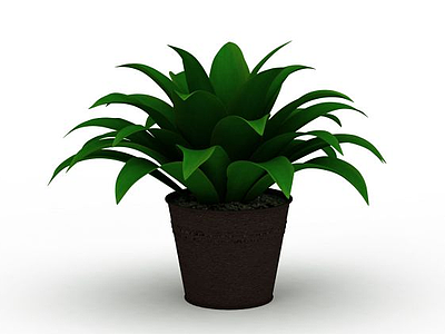 绿色盆景植物模型3d模型