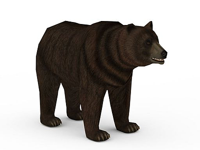 棕熊模型3d模型