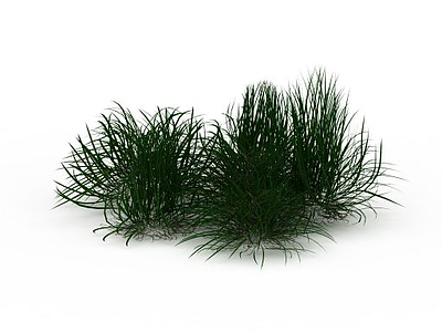 3d绿化草丛模型