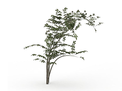 落叶植被模型3d模型