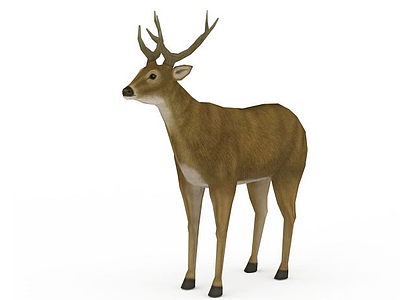 草原鹿模型3d模型