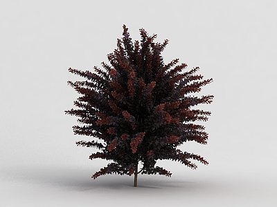 园林装饰灌木3d模型