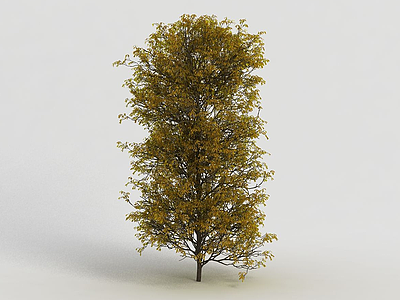 园林装饰灌木3d模型