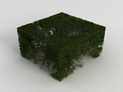 户外园林灌木丛3d模型