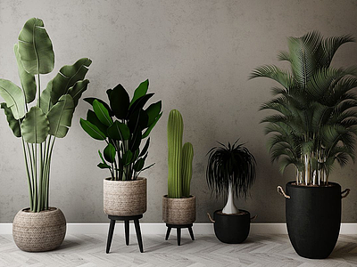 现代装饰植物模型