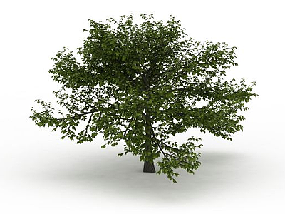 室外绿树模型3d模型