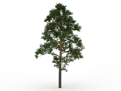 园林观赏植被模型3d模型