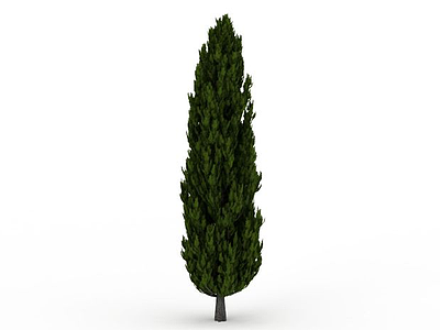 公园松树模型3d模型