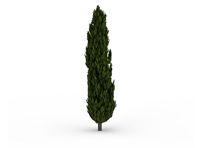 园林水杉模型3d模型