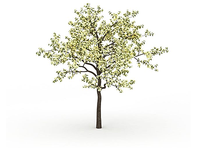 3d室外装饰树免费模型