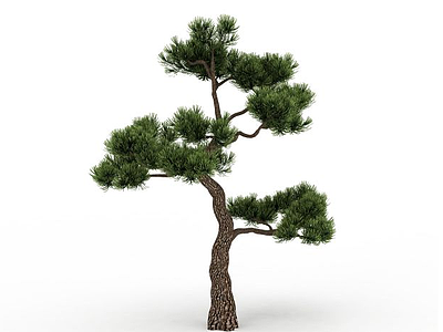 3d观赏松树免费模型