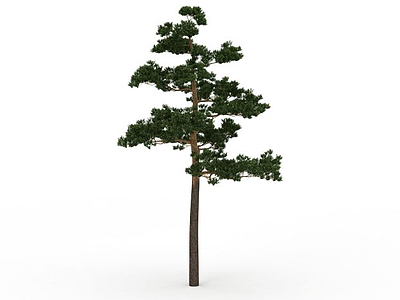 景观绿树模型3d模型